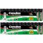 Camelion AA Super Heavy Duty 1.5 V Zinkchloride multipack (2 x blister 12)